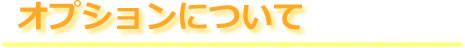 リカバリーオプション料金について